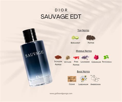 dior sauvabe note|dior sauvage cologne top notes.